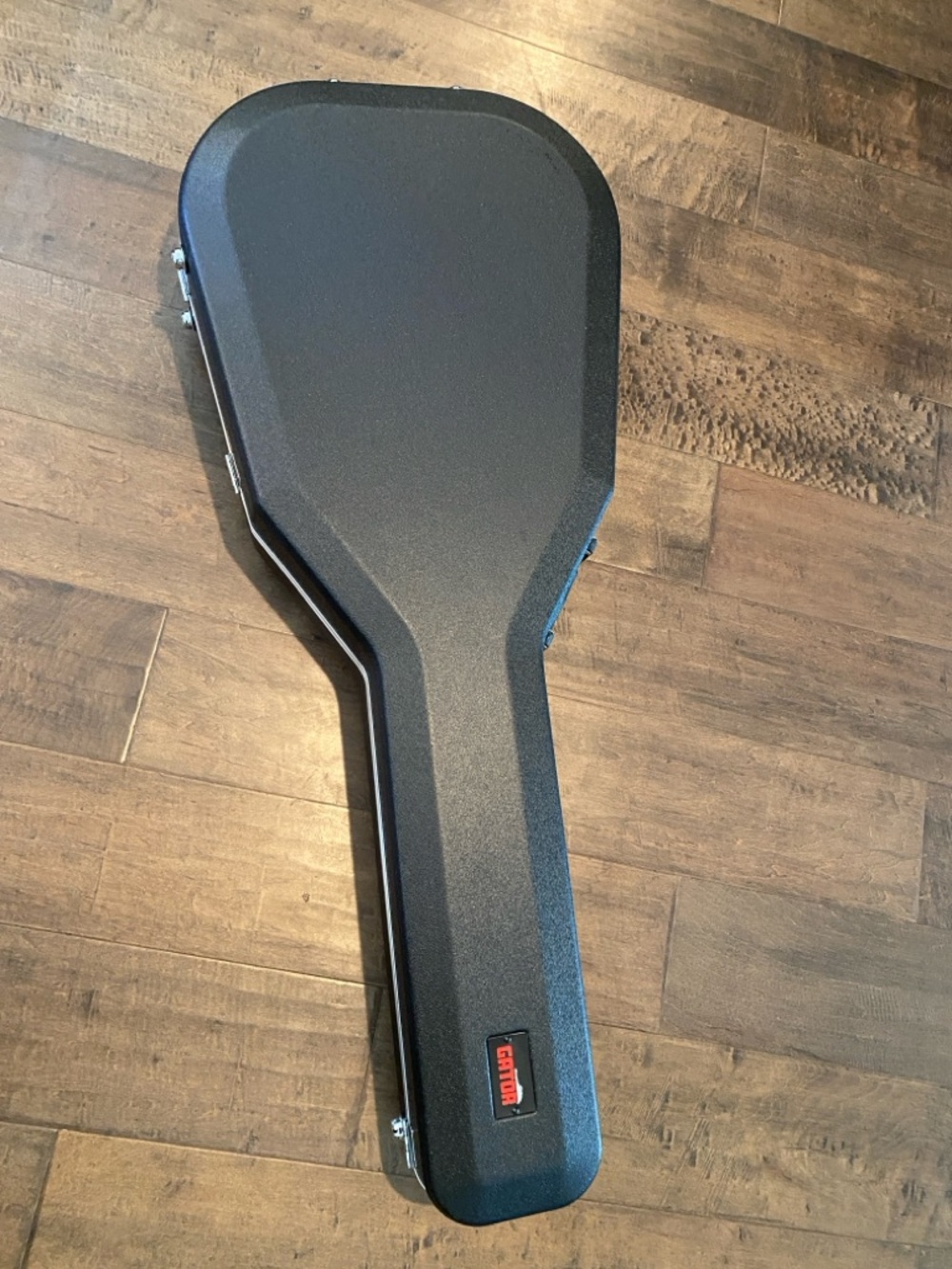 Case, Guitar with Plush Interior